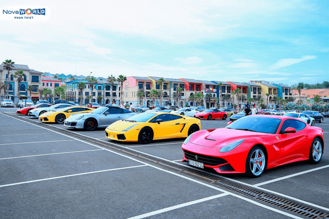 Ảnh slide minh họa 7